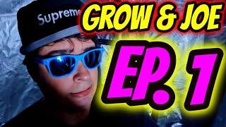 GROW & JOE (Episode 1)