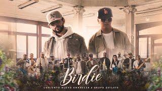 birdie - Conjunto Nuevo Amanecer x Grupo Quilate