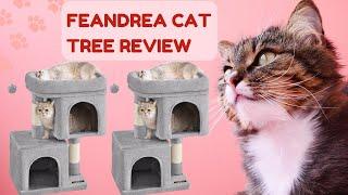 Feandrea Cat Tree Review