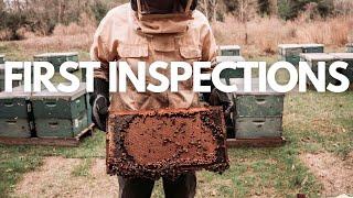 Spring Beekeeping in Full Swing! Unloading Bees & First Inspections