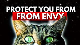 6 types of Cats that expel negative energies from your life!