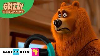 Grizzy & the Lemmings | Vroom Racers | Cartoonito Africa