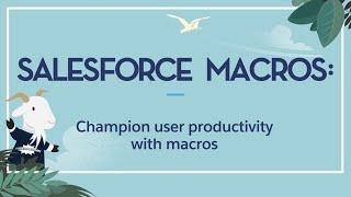 How to Use Salesforce Macros - Tips for Salesforce Administrators to Increase User Productivity
