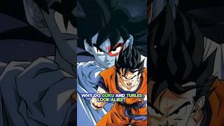 Why do Goku and Turles look alike?!