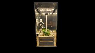 Led Stealth Grow Grow Box cabinet 600w by stealthgrowbox.co.uk