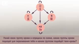 Определение группы крови, подходящей для переливания. Задача