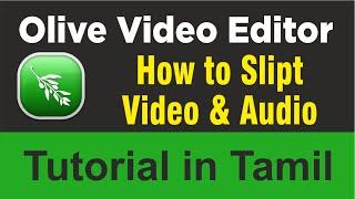 Olive Video Editor | How to Split (Cut) Video & Audio - Day 4 | Learn Something Tamil