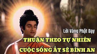 Lời Phật Dạy: Sống Thuận Theo Tự Nhiên Để Cuộc Đời Bình An và Hạnh Phúc!