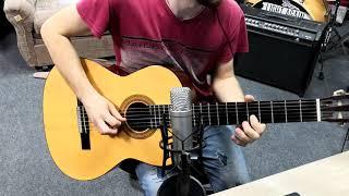 Acoustic guitar solo from ethno song