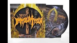 Vital Vinyl Vlog's Re-Review: Immolation- Here In After