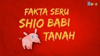 Tahun Baru Imlek 2019 - Fakta Seru Shio Babi Tanah