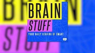 Do You Or Your Dishwasher Get Dishes Cleaner? - BrainStuff 11/29/2019