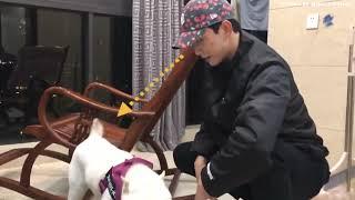 [ENG SUB] Wu Lei with Xiao Bei who make a mess (2020)