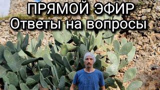 Прямой эфир со Светозаром. Ответы на вопросы.