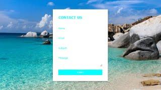 Contact Us Form Input Label Slide Up On Hover | HTML | CSS