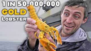 I caught a rare GOLD lobster for a pet (1 in 50 million)