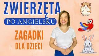 Angielskie zagadki - ZWIERZĘTA | angielski dla dzieci