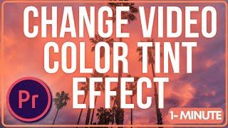 How to Change Video Color Tint Effect Premiere Pro | Learn Adobe #adobepremierepro