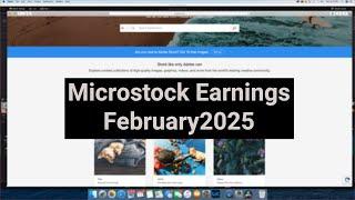 Microstock Earnings | February 2025