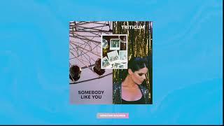 TRITICUM -  Somebody Like You