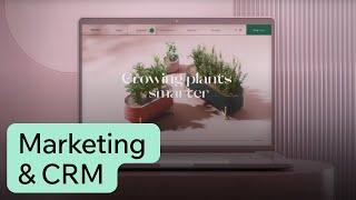 Run and Grow a Successful Business with Wix | Wix.com