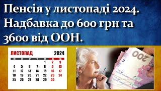 Пенсія у листопаді 2024 році.  Надбавка до 600 грн та 3600 від ООН