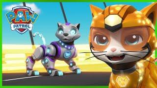 The Pups Meet the Cat Pack! - PAW Patrol Rescue Episode - Cartoons for Kids!