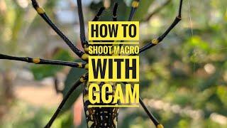 HOW TO SHOOT MACRO PHOTO WITH PHONE ( GCAM MACRO )