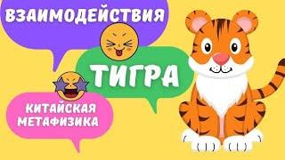 Все взаимодействия земной ветви Тигр с другими зверьками в карте бацзы. Столкновения, вред, пробой