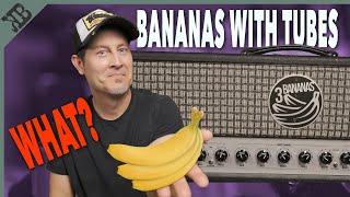 A Very DIFFERENT Boutique Guitar Amp | 3 Bananas - Galaktopus | Gear Corner