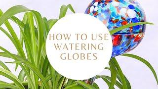 How to use Watering Globes