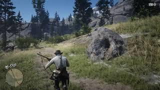 Red Dead Redemption 2 Западный лось самец