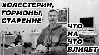 Холестерин, гормоны, старение. Что на что влияет.