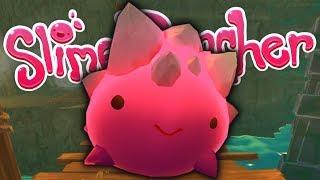 Things to Consider Before Adopting a Big Slime Baby | Slime Rancher