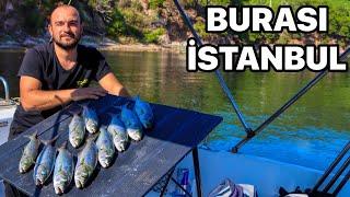 İstanbul’da Böyle Bir Güzellik Gördünüz Mü? Bir Sürü Balık Yakaladık Yedik