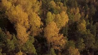 DJI MAVIC PRO Россия Сибирь Кемеровская область(Russia,Siberia,Kemerovo region)