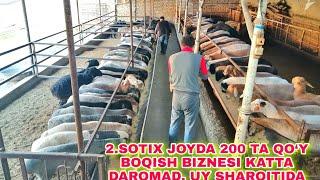 2.SOTIX JOYDA 200 TA QO‘Y BOQISH BIZNESI KATTA DAROMAD. UY SHAROITIDA