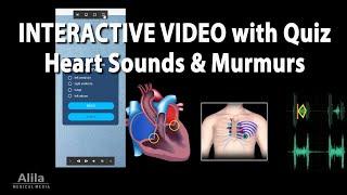 NEW! INTERACTIVE Animation: Heart Sounds and Heart Murmurs