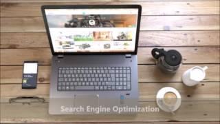 Orange County SEO Expert – Website Promoters