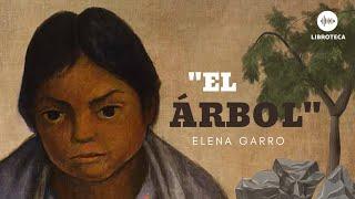 "El árbol", de Elena Garro (cuento completo) ️ AUDIOCUENTO/AUDIOLIBRO ️Voz humana