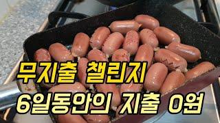 [절약하는 백수] 백수 절약 일상/식비 아낄 땐 역시 집밥이지/무지출/무지출챌린지/집밥/짠테크/냉파/냉장고파먹기/절약/식비절약