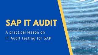 SAP IT Audit for Beginners - Training on SAP Security Basics for IT Audit