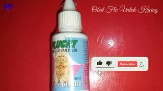 FLUCAT OBAT FLU KUCING DAN DEMAM ||™ Review Produk