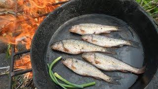 Vlog #58: Small Stream Catch and Cook | Creek Chub Fishing