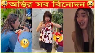 অস্থির সব বিনোদন  অস্থির বাঙালি Viral funny video bangla | Bengali funny videos | Funny videos