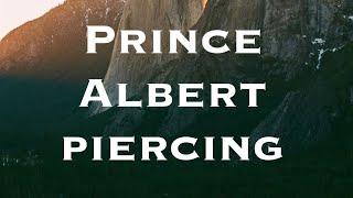 Prince Albert piercing