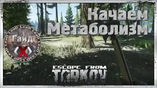 Гайд Escape From Tarkov - Быстрая прокачка Метаболизма