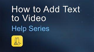 How to Add Text to Video with BeeCut