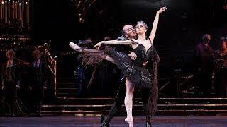 Tchaikovsky: Swan Lake - The Black Swan Exclusive Clip - The Royal Ballet - Digital Theatre