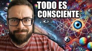 El Panpsiquismo no es tan loco como piensas  | Problema de la conciencia